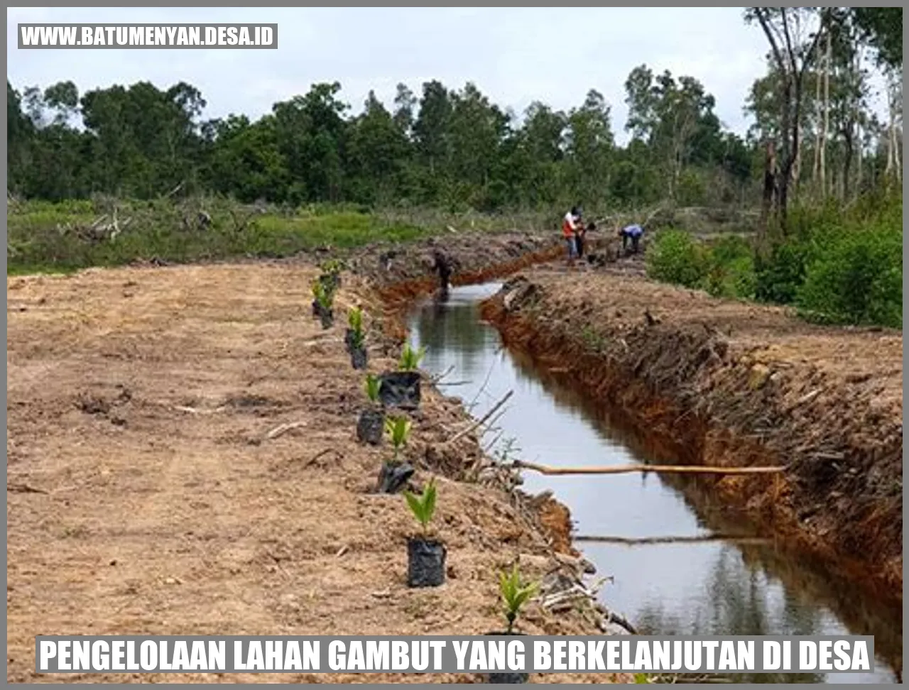 Perkuat Komitmen Berkelanjutan, PT BCL Lakukan Pengelolaan Lahan di Desa Bintang Ara